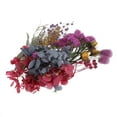 thumbnail image 4 of Adornos para marcapáginas con hojas prensadas y flores secas mixtas 1-3CM A, 4 of 9