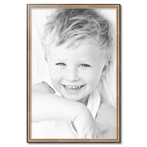 ArtToFrames 27" x 41" Anique Silver Picture Frame, 27x41 inch Silver Wood Poster Frame (WOM-4964)