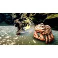 thumbnail image 4 of Jeu vidéo Skull Island: Rise of Kong pour (Xbox), 4 of 9