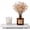 White, variant on Natural Marble Tray Pedestal Stand, 8.6 x 4 Inch Hand-Polished Stone Riser | For Bathroom & Kitchen Sink. Unique Veining, Waterproof. Soap Dispenser, Perfume, Candle Display. Vanity Organizer. Non-Sl
