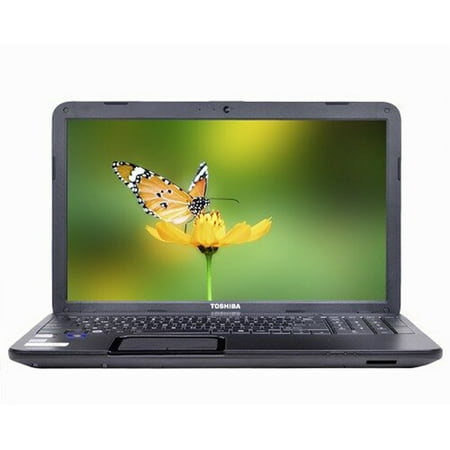 - Toshiba 15.6
