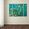 thumbnail image 3 of Vincent van Gogh 'Almond Branches In Bloom' Multi Panel Art Set Large, 3 of 3