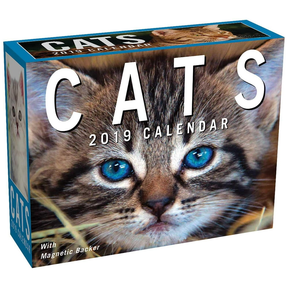 cats-2019-mini-day-to-day-calendar-other-walmart-walmart