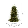 thumbnail image 3 of Vickerman 10' x 68" North Shore Fraser Fir Artificial Christmas Tree, LED Warm White Lights, 3 of 3