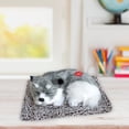 thumbnail image 1 of Top Picks! Drppepioners Car,Activated Car,Bon Simulation Dog Charcoal Purification Home Car,Decor, 1 of 3
