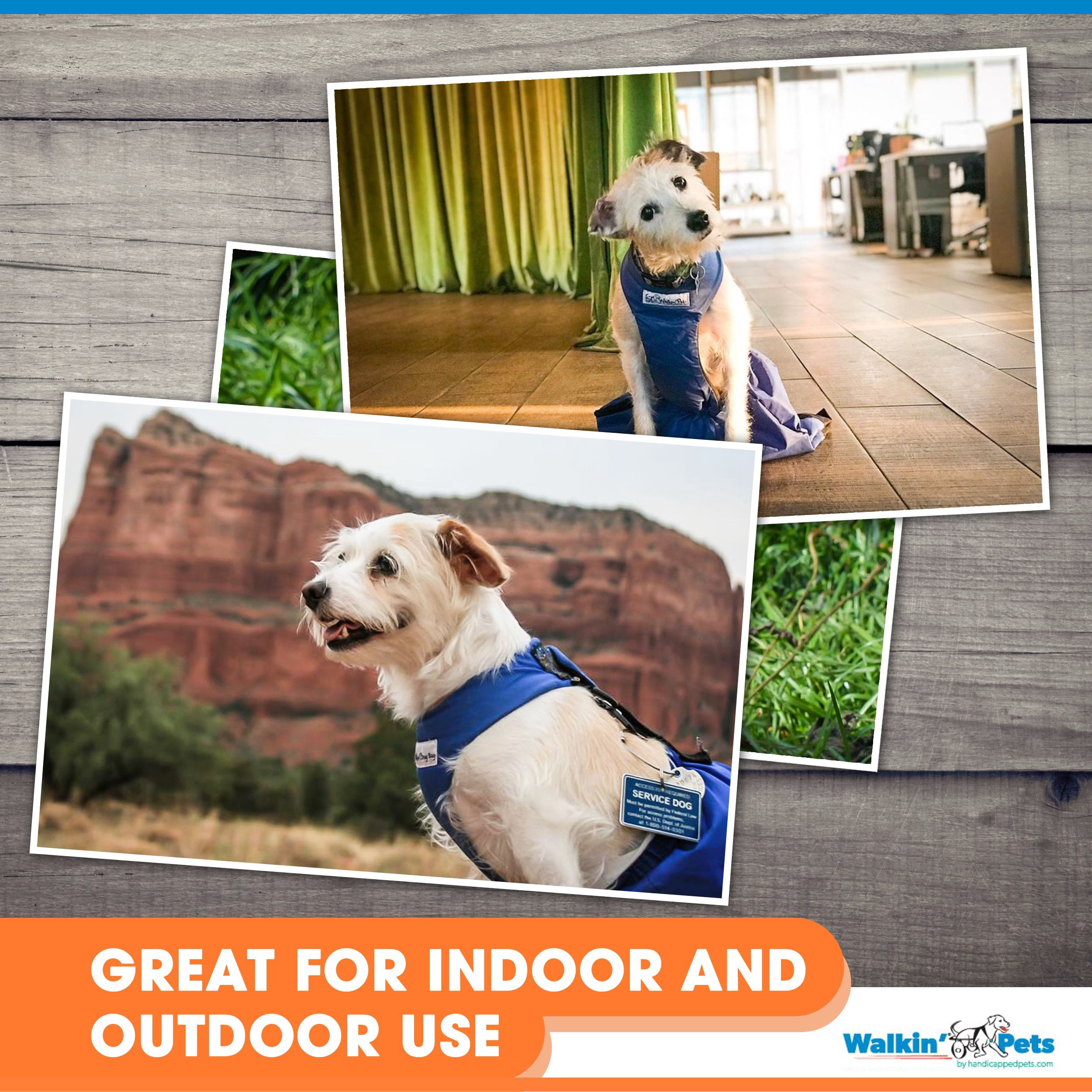 handicap dog drag bag