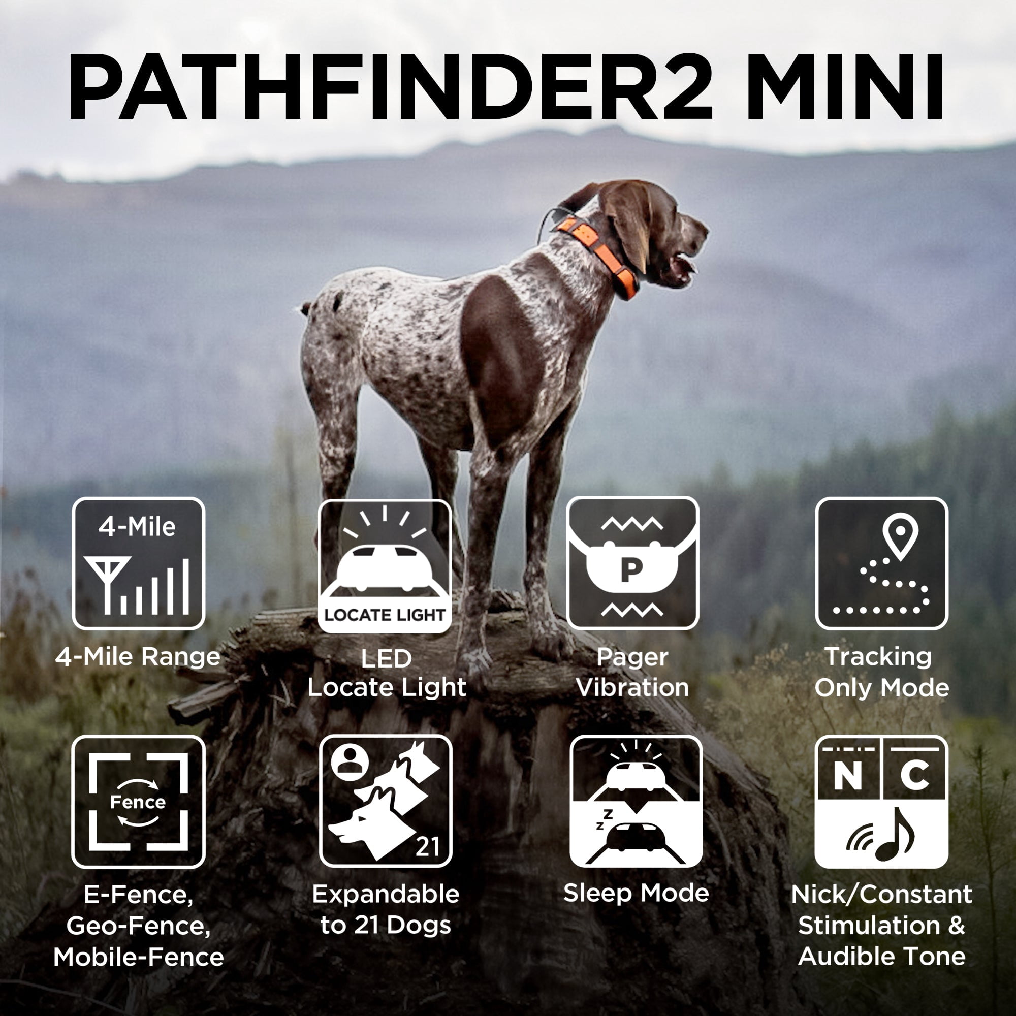 Dogtra Pathfinder 2 Mini GPS Dog Tracker E Collar - 4 Mile Range, Waterproof, No Monthly Fees