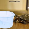 thumbnail image 3 of Turtle Tank with a Straw Fish Tank Opening Plastic Turtle Live Breeding Box with Drying Platform No Cover Small Size (Sky Blue), 3 of 6