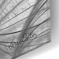 thumbnail image 3 of Epic Art 'Goatsbeard II' by Lori Deiter Acrylic Glass Wall Art, 16"x24", 3 of 8