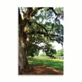 thumbnail image 2 of Gango Home Decor Charleston Oaks 5 by Alan Hausenflock (Printed on Paper); One 24x36in Fine Art Paper Giclee Print, 2 of 4