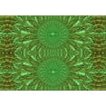 thumbnail image 1 of Ahgly Company Machine Washable Indoor Rectangle Transitional Army Green Area Rugs, 4' x 6', 1 of 7