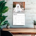 thumbnail image 5 of Samoyeds | 2027 12x24" (Hanging) Wall Calendar | Plastic-Free, 5 of 9