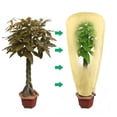 thumbnail image 1 of ZZwxWA Up to 65% Off Antifreeze Your Plants From Frostbite In Winter, 1 of 3