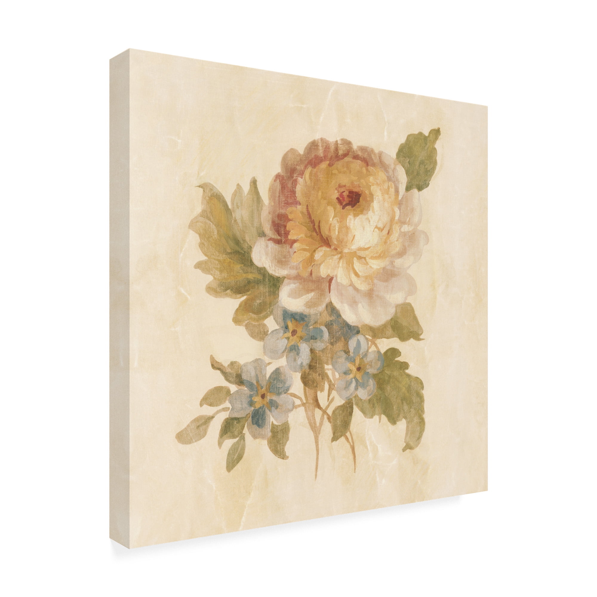 Trademark Fine Art 'Parisian Flower I on White Square' Canvas Art by Danhui Nai