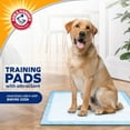 thumbnail image 2 of Arm & Hammer for Dogs Puppy Training Pads, 200ct | Odor Control, Leak-Proof Puppy Pads, 2 of 14