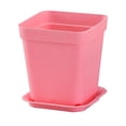 thumbnail image 3 of 12pcs Plastic Square Flower Pot Mini Decorative Flower Pots Planters Creative Succulents Nursery Floral Holder Organizer Garden Supplies with Trays(2p, 3 of 3