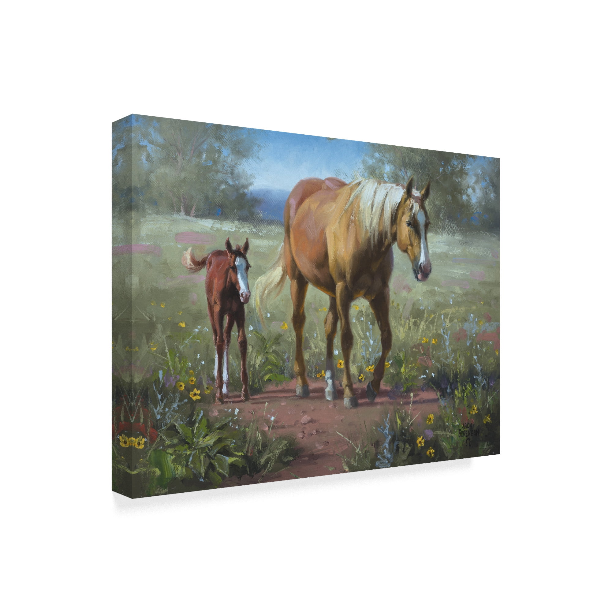 Trademark Fine Art 'Comin In' Canvas Art by Jack Sorenson
