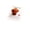 Brown-1, variant on Brown Dog Theme Resin Miniature Ornaments, Cartoon Animal Pet Puppy Figurines for DIY Dollhouse Fairy Home, Desk Office Decor(D)