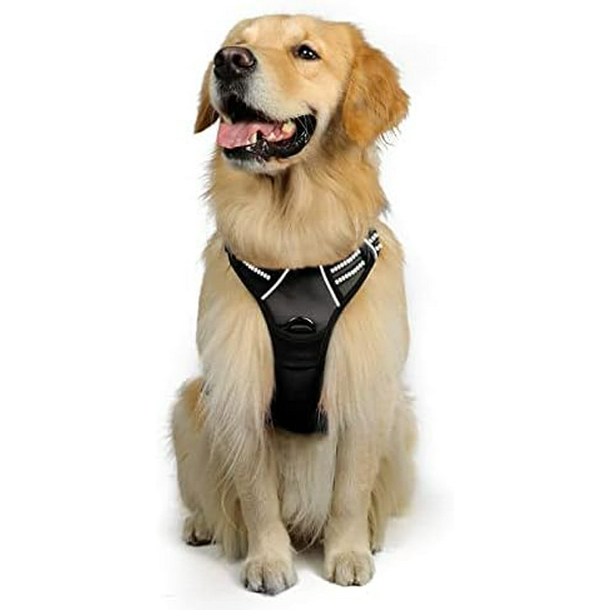 rabbitgoo Dog Harness No Pull Pet Harness with 2 Leash Clips Adjustable Soft Padded Dog Vest Reflective No Choke Pet Oxford Vest with Easy Control Handle for Large Dogs Teal L Walmart