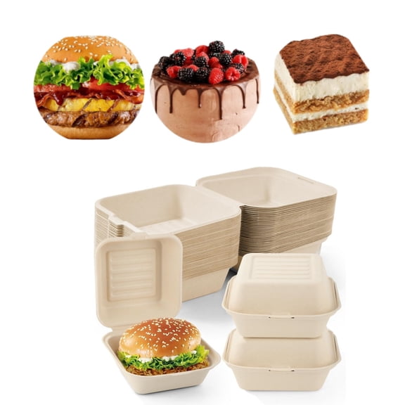 Cookies Take-Out Containers,20pcs Disposable To Go Boxes for Salad,Durable Hamburger Box for Camping, Picnics, Lunches,Catering