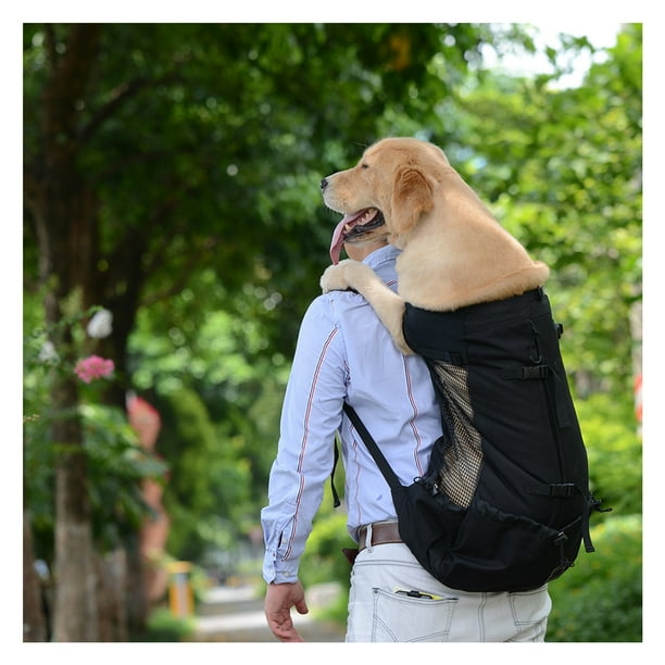 Mochila transportadora para perros transpirable lavable para viajes al aire libre color negro