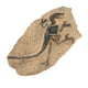 thumbnail image 5 of Figura Fósil De Esqueleto De Dinosaurio, Modelo Fósil De Dinosaurio Educativo Decorativo De Alta Simulación Con Soporte Para Oficina De Estudio, 5 of 7