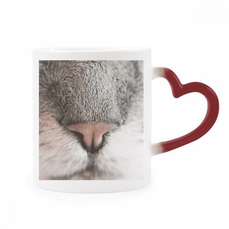 

Animal Local Photograph Picture Heat Sensitive Mug Red Color Changing Stoneware Cup