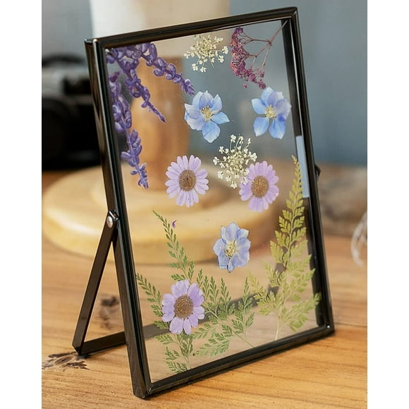 5x7 Inch Pressed Flower Frames Double Layer Plexiglass Picture Frames Vertical Desktop Black Metal Photo Frames Flowers