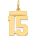 thumbnail image 1 of 14K Yellow Gold Small Polished Number 15 Charm Made In United States ls15, 1 of 6
