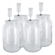 Home Brew Ohio One Gallon Glass Complete Wide Mouth Fermenter Set of 4