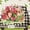 Flowers B, variant on REGALWOVEN Farmhouse Placemats Set of 6 Linen Placemats for Dining Table Decor Indoor Outdoor Washable Kitchen Table Mat Wipe Clean Green 18*12in