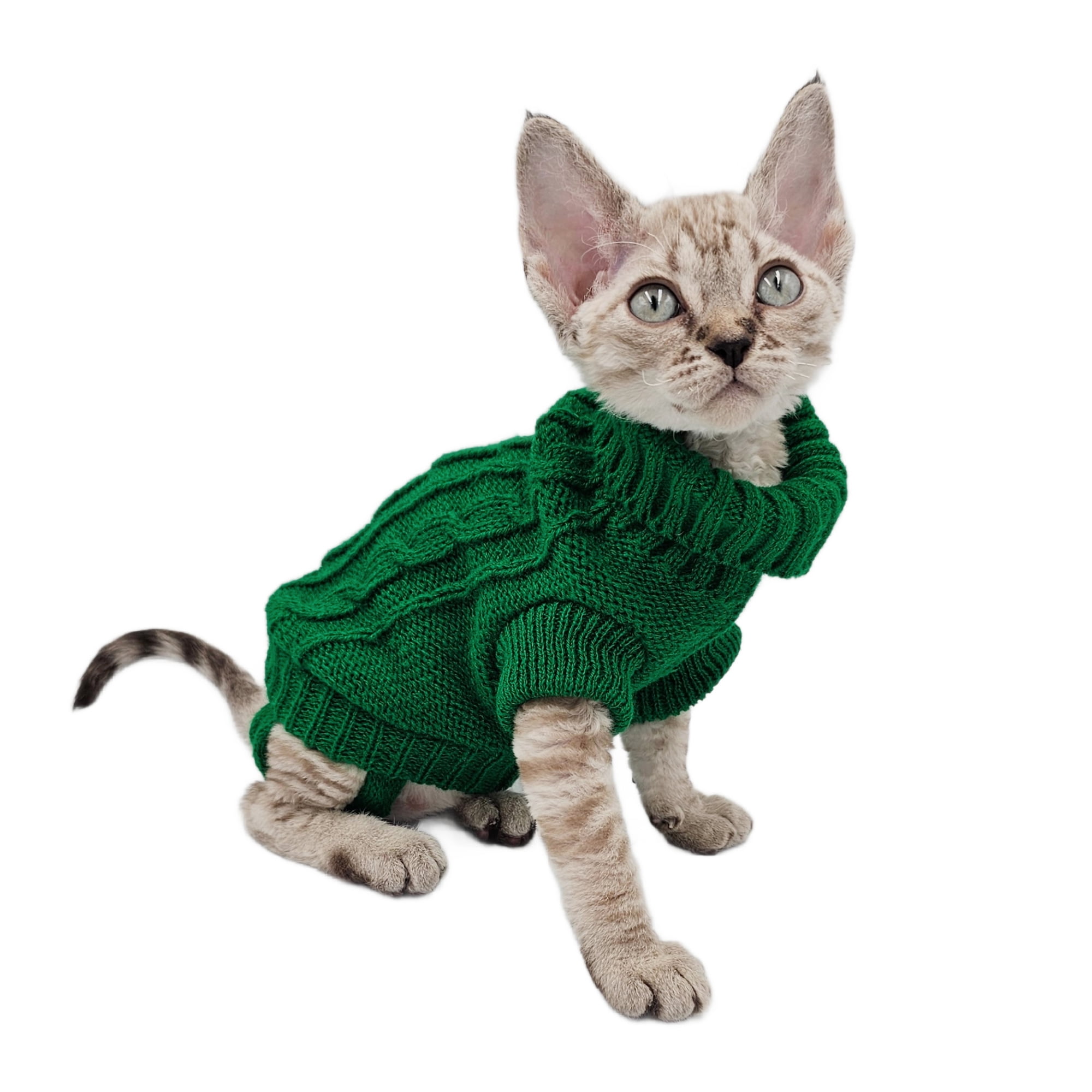 e16b0218-4ffa-4c58-8d02-