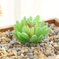 thumbnail image 1 of DIY Artificial Succulent Flocked Plant Fake Cactus Lotus Home Garden Decor, 1 of 1
