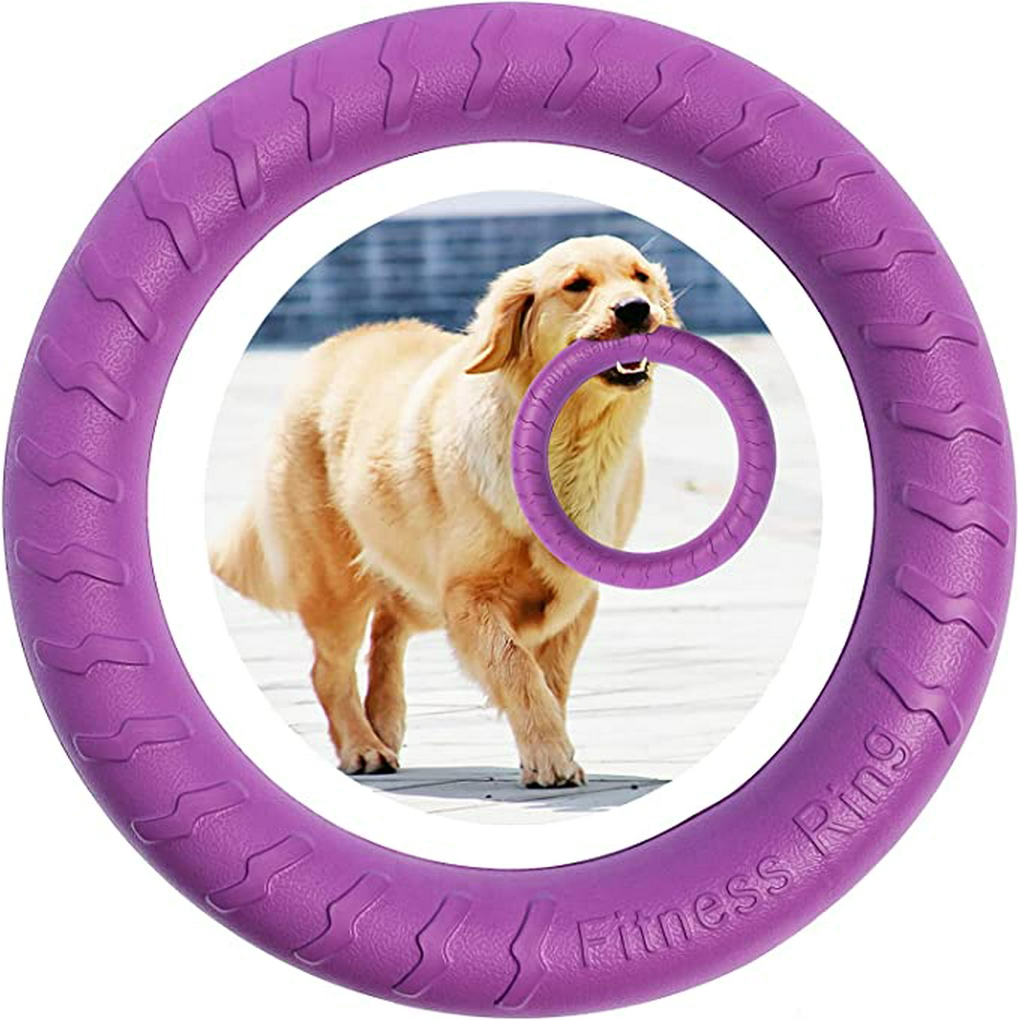 Shenmo 1 Piece Dog Gym Ring Dog Agility Exercise Equipment Interactive Training Ring For Small And Large Dogs Purple Diameter 19.5cm