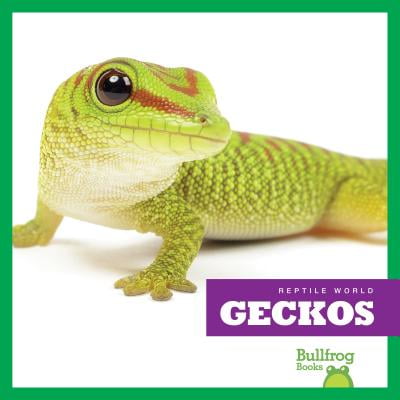 - Geckos