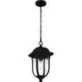 thumbnail image 2 of Quoizel Mulberry 1-Light Matte Black Outdoor Hanging Lantern, 2 of 9