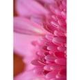 thumbnail image 3 of Millet, Karyn 11x14 Black Modern Framed Museum Art Print Titled - Pink Morning, 3 of 5