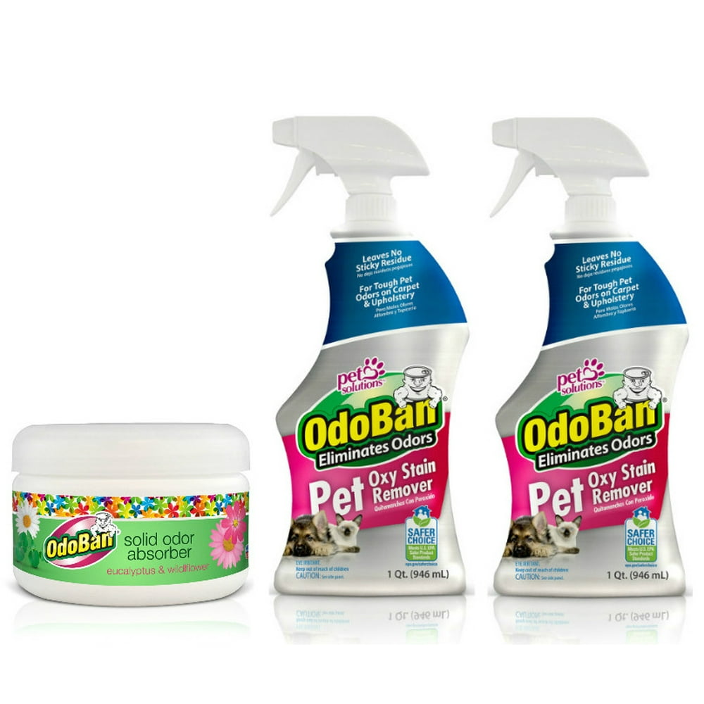 Odoban Pet Oxy Stain Remover 32oz Spray Bottle 2Pack and Solid Odor