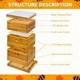 thumbnail image 5 of 10 Frame Langstroth Beehive Kit - Beeswax Coated 3-Layer Bee Hive (2 Deep Brood + 1 Medium Super) Professional Wood Box, Frames NOT Included, 5 of 7