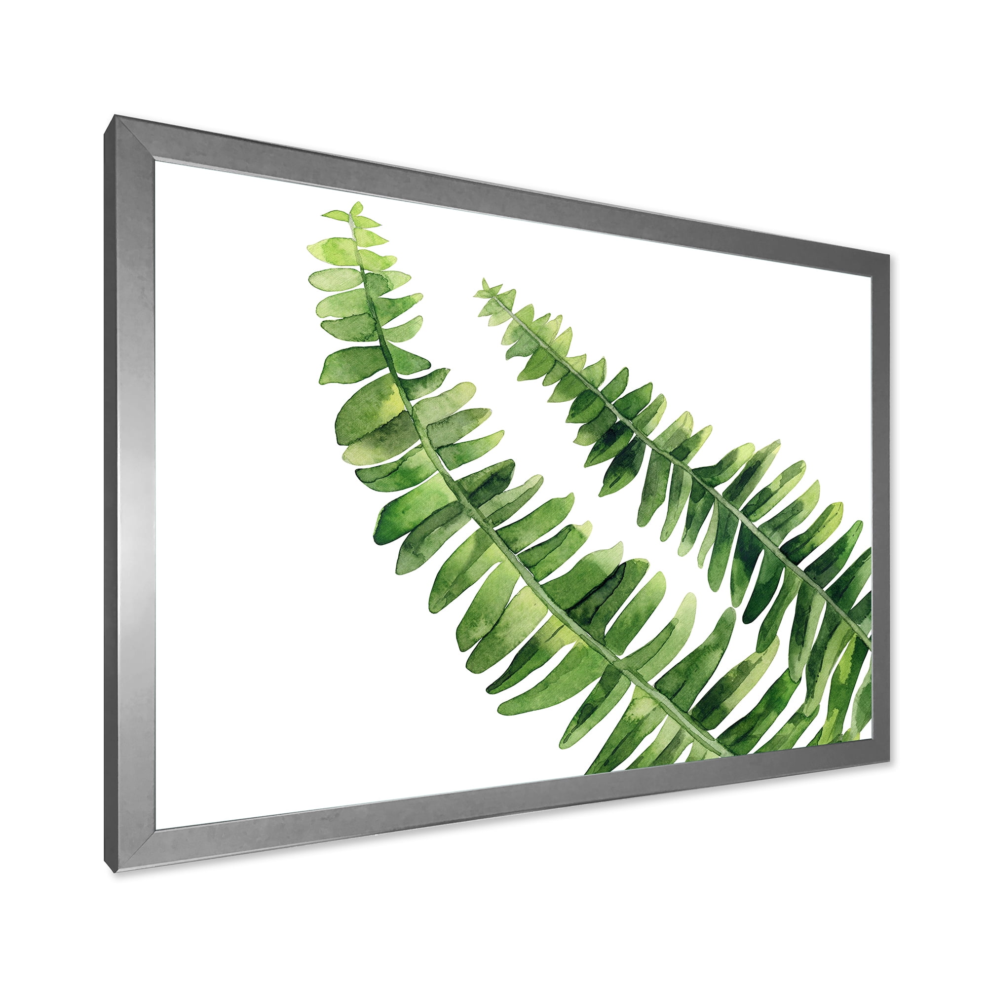 Designart 'Fern Plant Leaves Detail I' Farmhouse Framed Art Print
