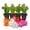 Variety 4pack, variant on Christmas Cactus Variety 3pack - 3 Live Starter Plants - Schlumbergera Bridgesii - Growers Choice Beautiful Colorful Tropical Indoor Succulent