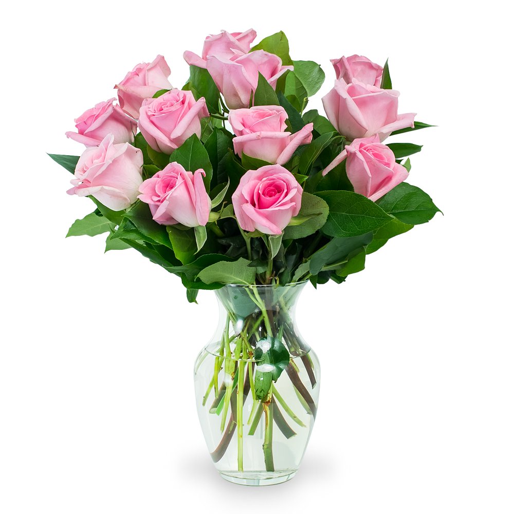 Pink Roses with Premium Greens, One Dozen, Vase Included