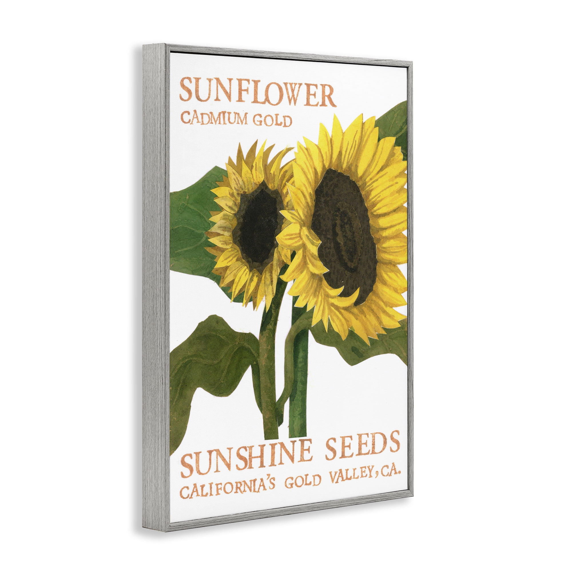 Stupell Industries Sunflower Seeds Design Typography Painting Gray Framed Art Print Wall Art, 20 x 30