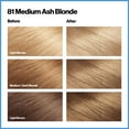 thumbnail image 4 of Revlon Total Color Permanent Hair Color, Clean and Vegan, 100% Gray Coverage Hair Dye, 81 Medium Ash Blonde, 5.94 fl oz, 4 of 16