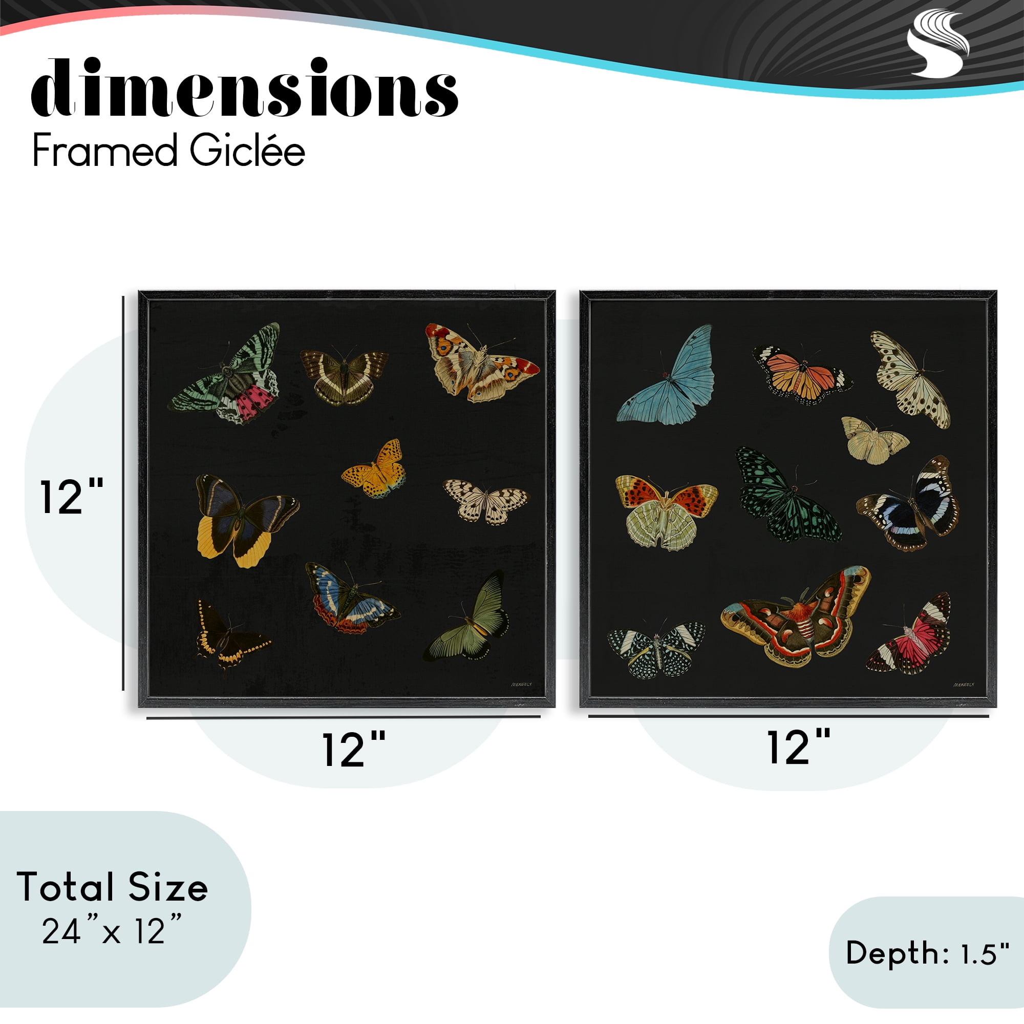Stupell Industries Entomology Collection on Black 2 Piece Black Framed Giclee Art Set, design by Dan Meneely