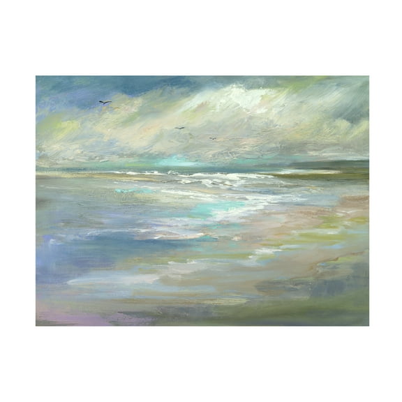 Sheila Finch 'Beach Light I' Canvas Art