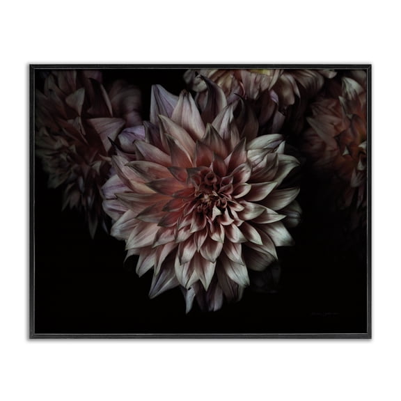 Stupell Industries French Country Aged Flower Petal Photograph Black Framed Giclee Art, 14 x 11, by Floragraphica