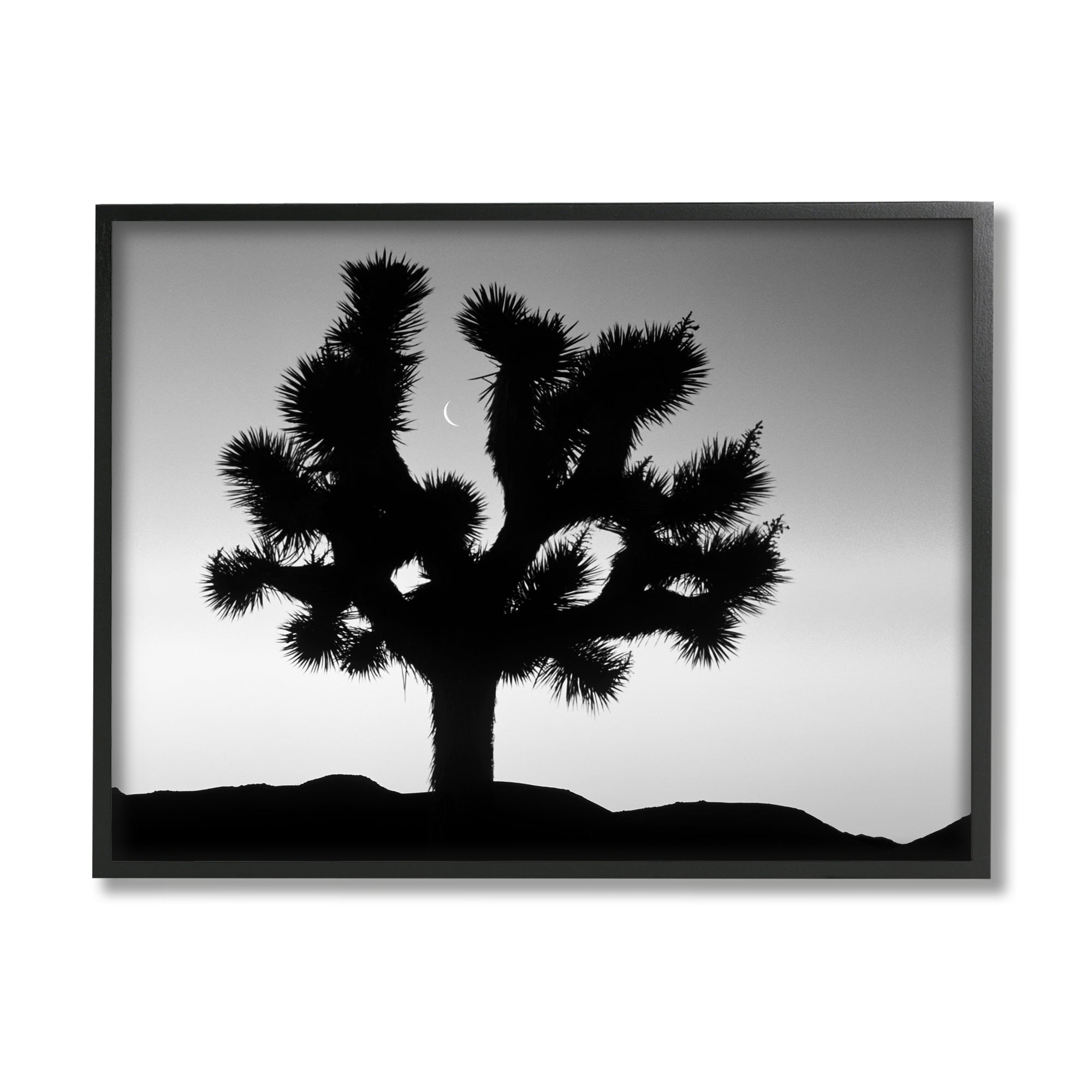 Stupell Industries Monochrome Moonlit Desert Tree Landscape Photography Gray Framed Art Print Wall Art