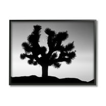 Stupell Industries Monochrome Moonlit Desert Tree Landscape Photography Black Framed Art Print Wall Art