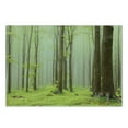 thumbnail image 3 of Woodland Cutting Board, Misty Springtime Beech Forest Photo Taken in the Mountains of Central Europe, Decorative Tempered Glass Cutting and Serving Board, Small Size, Brown Green, by Ambesonne, 3 of 5